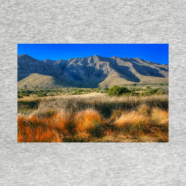 Guadalupe Mountains National Park2 by StonePics